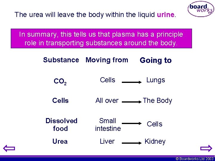 The urea will leave the body within the liquid urine In summary, this tells