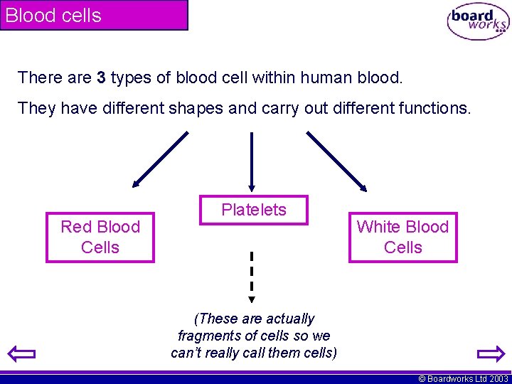 Blood cells There are 3 types of blood cell within human blood. They have