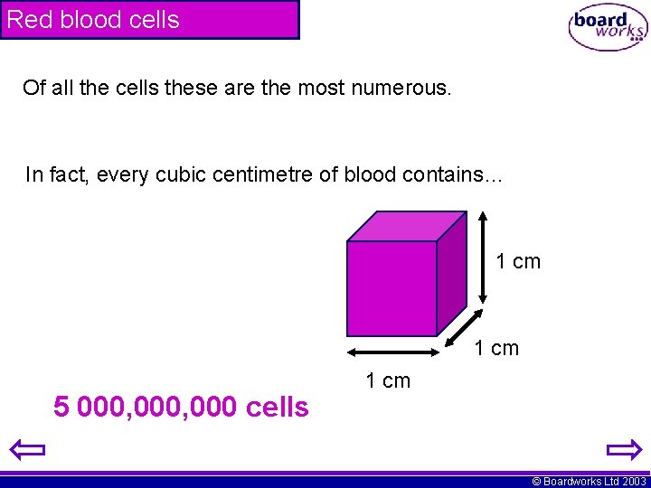 Red blood cells Of all the cells these are the most numerous. In fact,