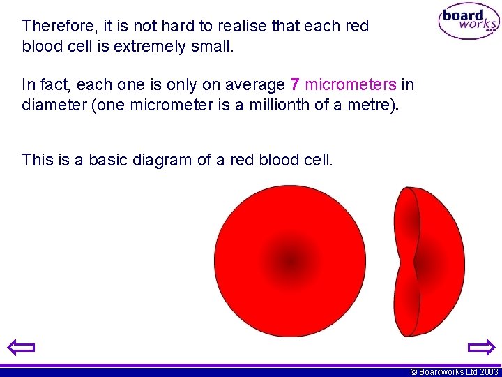 Therefore, it is not hard to realise that each red blood cell is extremely