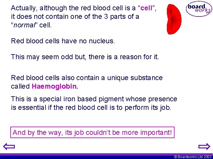 Actually, although the red blood cell is a “cell”, it does not contain one