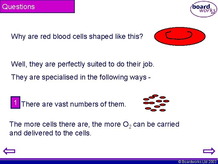 Questions Why are red blood cells shaped like this? Well, they are perfectly suited