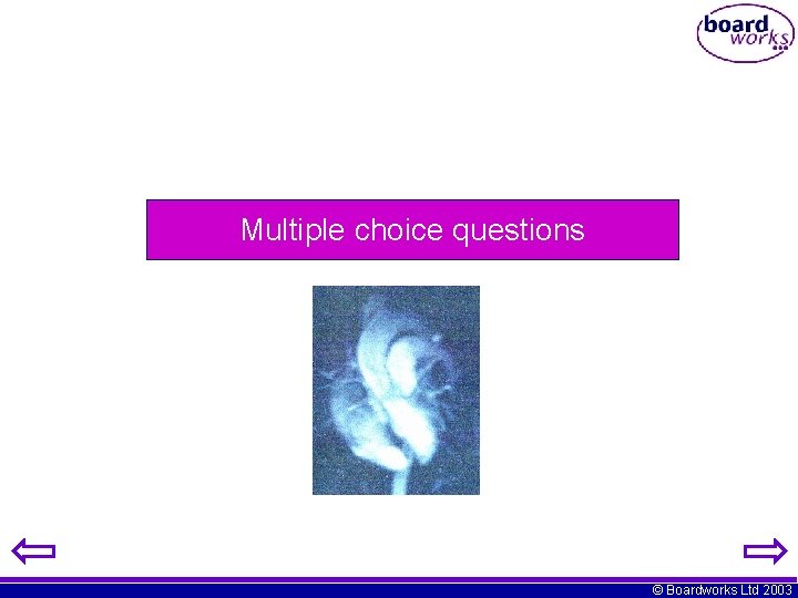 Multiple choice questions © Boardworks Ltd 2003 
