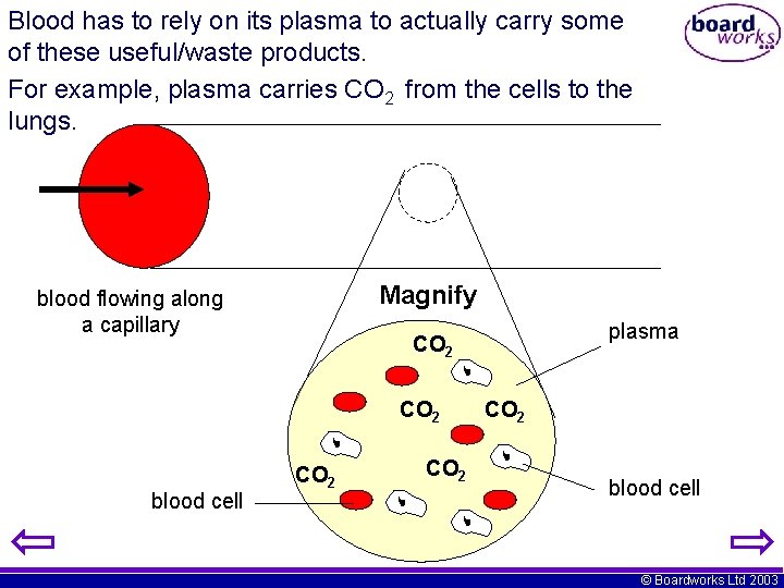 Blood has to rely on its plasma to actually carry some of these useful/waste