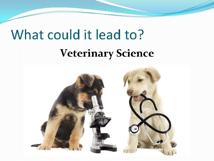 What could it lead to? Veterinary Science 