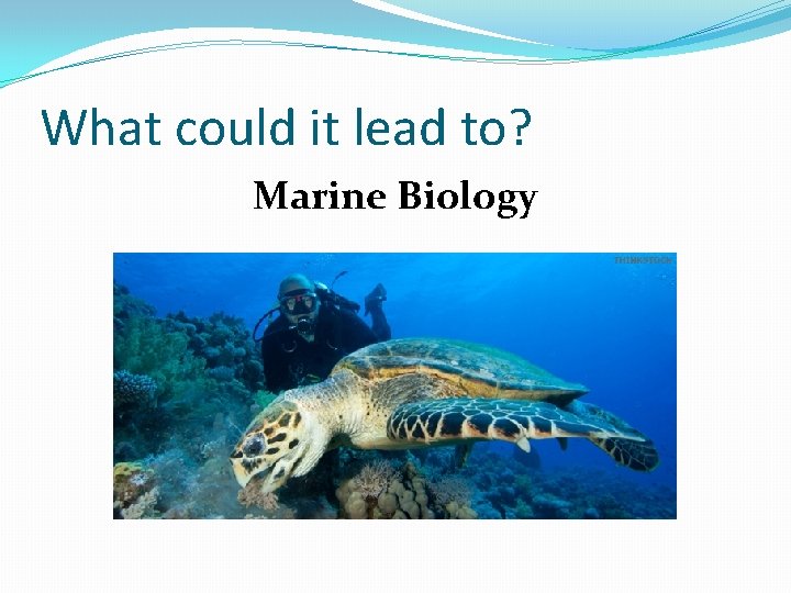 What could it lead to? Marine Biology 