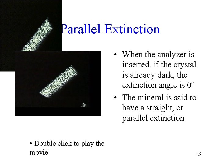 Parallel Extinction • When the analyzer is inserted, if the crystal is already dark,