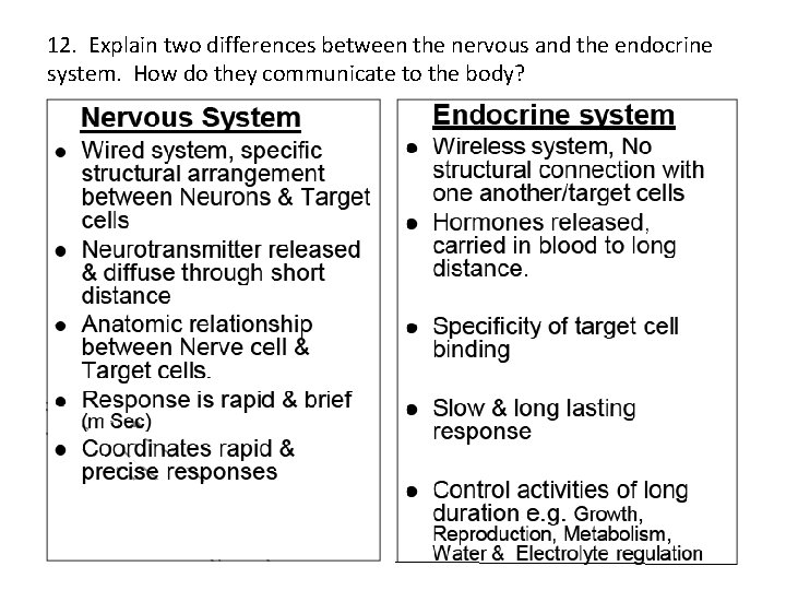 12. Explain two differences between the nervous and the endocrine system. How do they