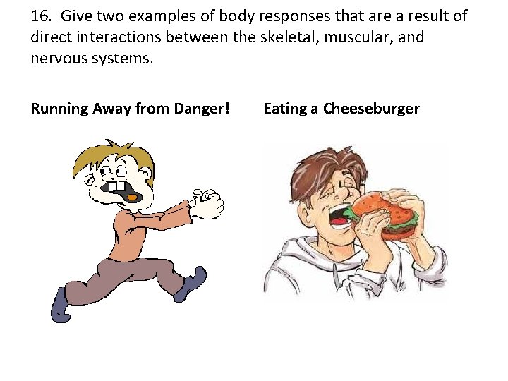 16. Give two examples of body responses that are a result of direct interactions