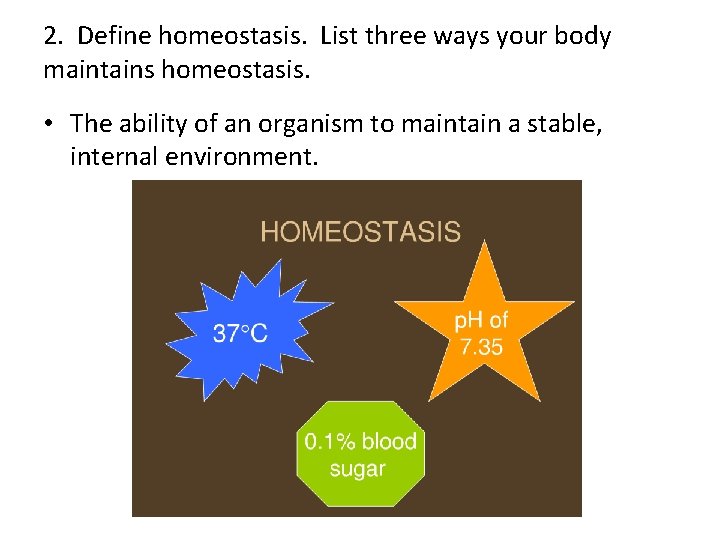 2. Define homeostasis. List three ways your body maintains homeostasis. • The ability of