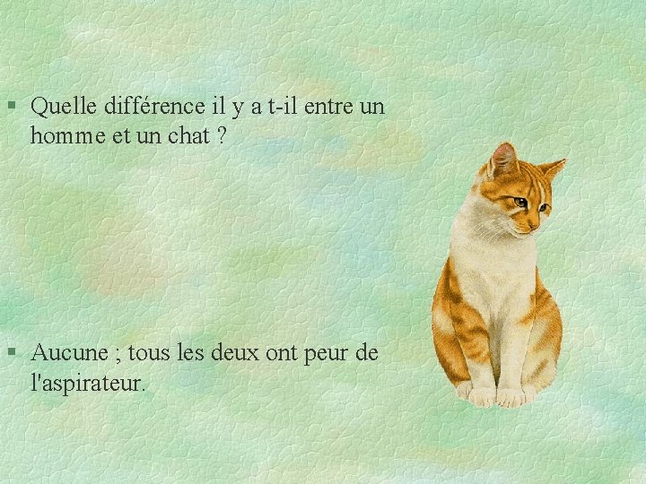 § Quelle différence il y a t-il entre un homme et un chat ?