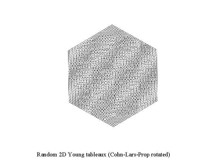 Random 2 D Young tableaux (Cohn-Lars-Prop rotated) 