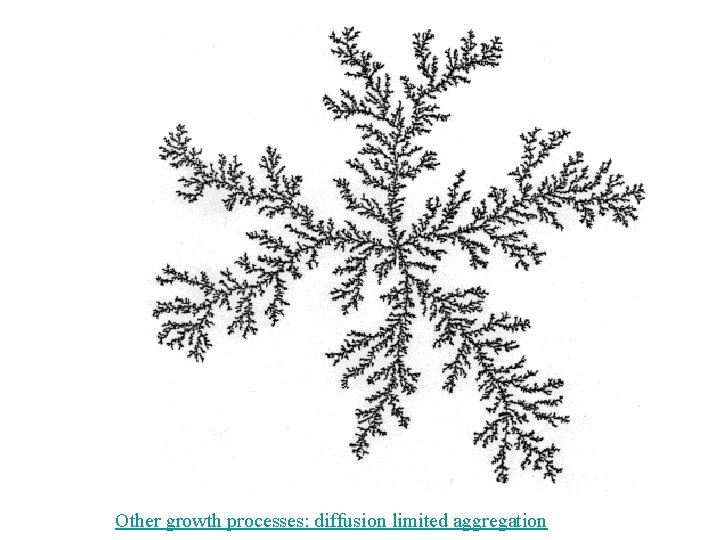 Other growth processes: diffusion limited aggregation 