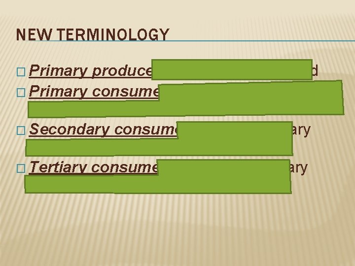 NEW TERMINOLOGY � Primary producer: makes their own food � Primary consumer: eats the