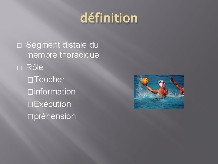 définition � � Segment distale du membre thoracique Rôle �Toucher �information �Exécution �préhension 