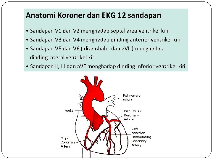 Anatomi Koroner dan EKG 12 sandapan • Sandapan V 1 dan V 2 menghadap