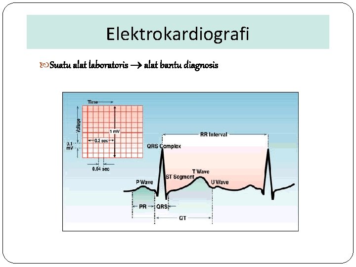 Elektrokardiografi Suatu alat laboratoris alat bantu diagnosis 