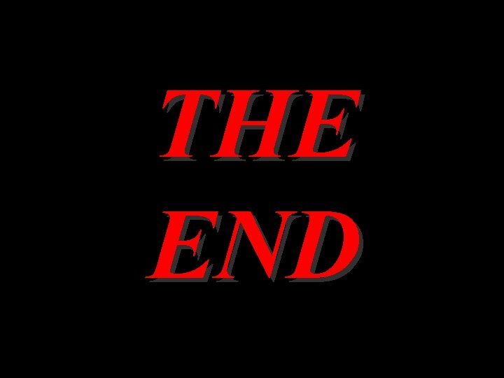 THE END 