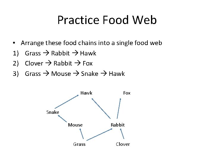 Practice Food Web • Arrange these food chains into a single food web 1)