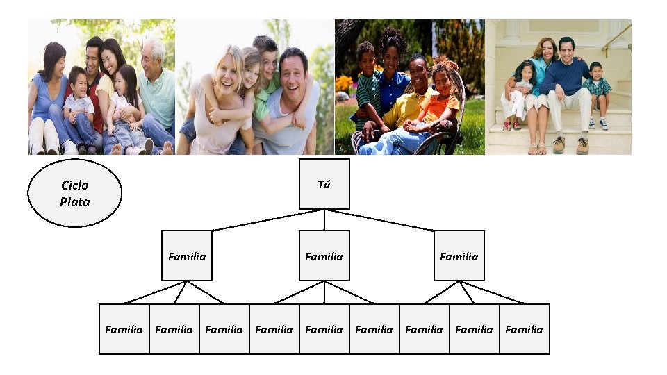 Ciclo Plata Tú Familia Familia Familia 