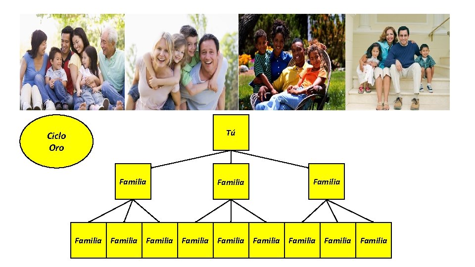 Tú Ciclo Oro Familia Familia Familia 