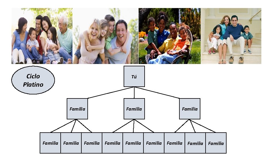 Ciclo Platino Tú Familia Familia Familia 