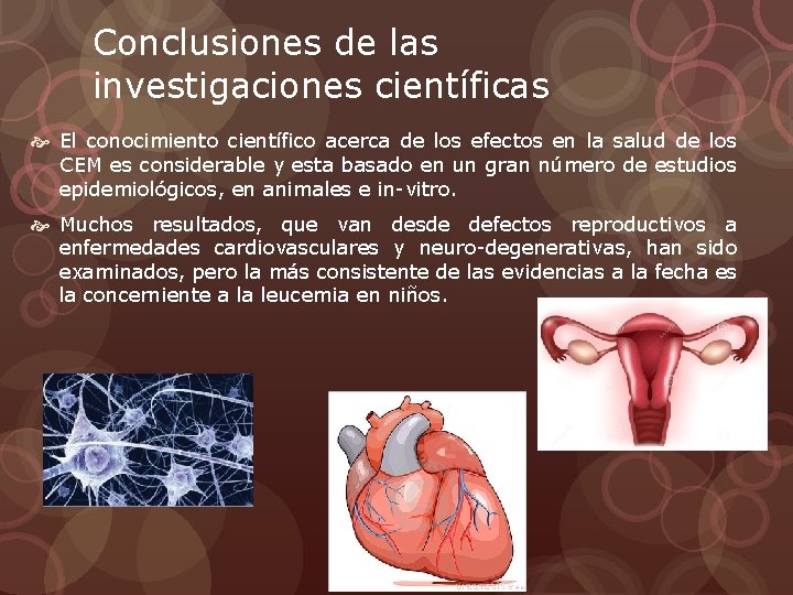 Conclusiones de las investigaciones científicas El conocimiento científico acerca de los efectos en la