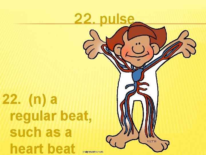 22. pulse 22. (n) a regular beat, such as a heart beat 