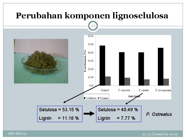 Perubahan komponen lignoselulosa 10 HKP-SPN 09 Selulosa = 53. 15 % Selulosa = 40.