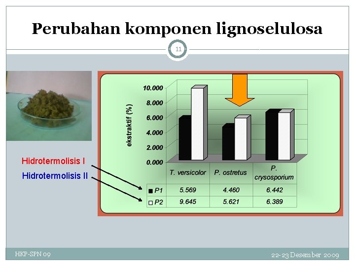 Perubahan komponen lignoselulosa 11 Hidrotermolisis II HKP-SPN 09 22 -23 Desember 2009 