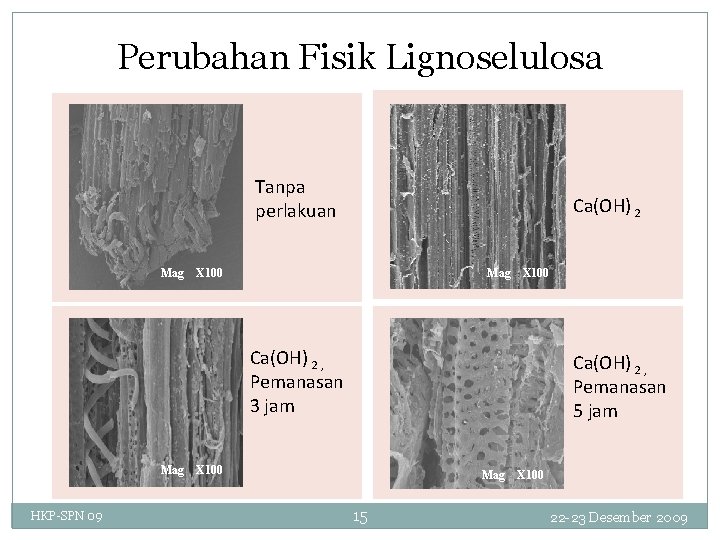 Perubahan Fisik Lignoselulosa Tanpa perlakuan Mag Ca(OH) 2 X 100 Mag X 100 Ca(OH)