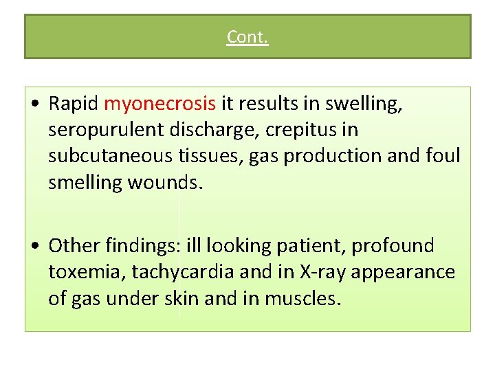 Cont. • Rapid myonecrosis it results in swelling, seropurulent discharge, crepitus in subcutaneous tissues,