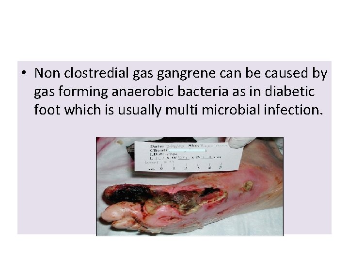  • Non clostredial gas gangrene can be caused by gas forming anaerobic bacteria