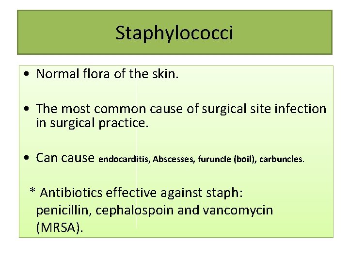 Staphylococci • Normal flora of the skin. • The most common cause of surgical