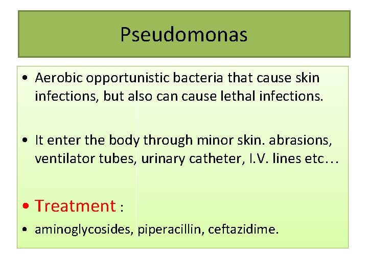 Pseudomonas • Aerobic opportunistic bacteria that cause skin infections, but also can cause lethal