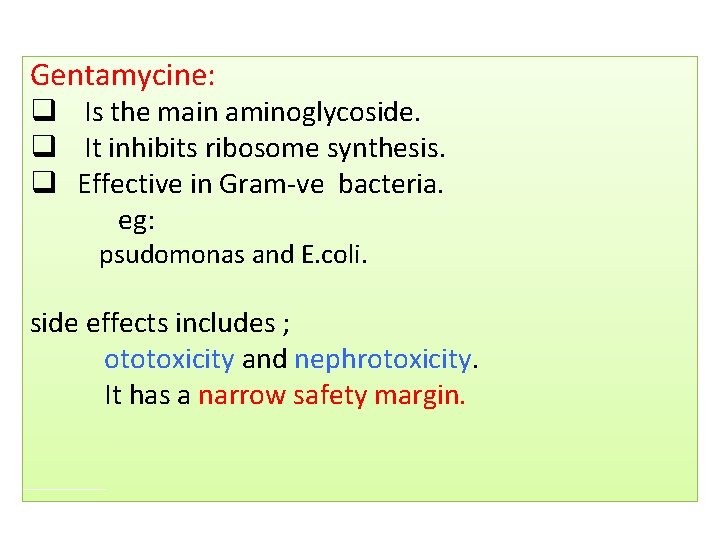 Gentamycine: q Is the main aminoglycoside. q It inhibits ribosome synthesis. q Effective in