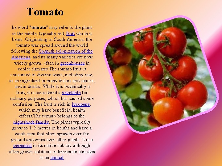 Tomato he word "tomato" may refer to the plant or the edible, typically red,