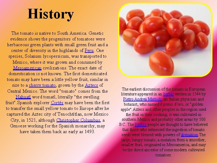 History The tomato is native to South America. Genetic evidence shows the progenitors of