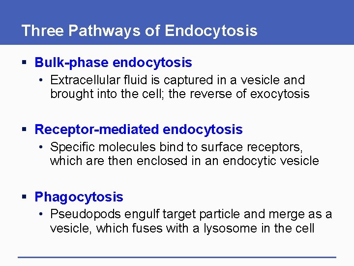 Three Pathways of Endocytosis § Bulk-phase endocytosis • Extracellular fluid is captured in a