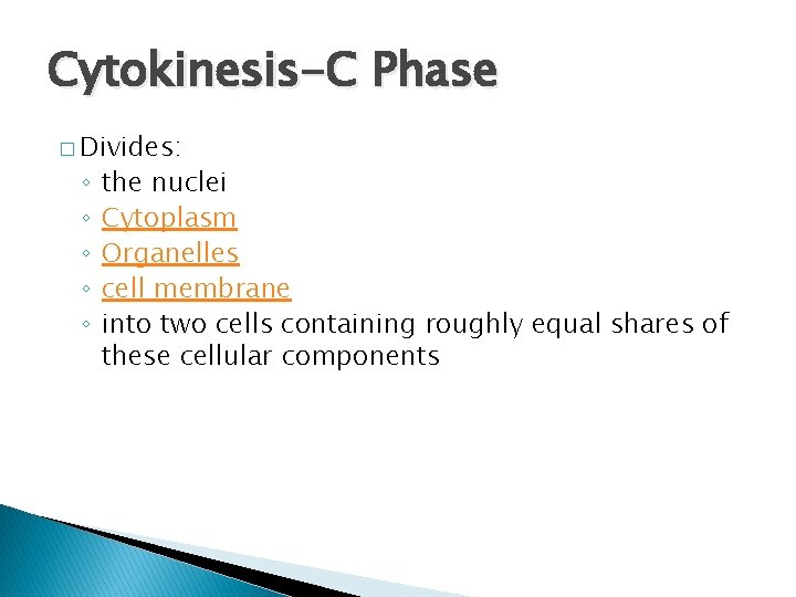 Cytokinesis-C Phase � Divides: ◦ ◦ ◦ the nuclei Cytoplasm Organelles cell membrane into