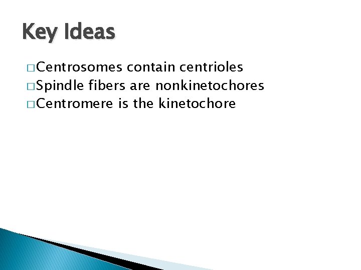 Key Ideas � Centrosomes contain centrioles � Spindle fibers are nonkinetochores � Centromere is