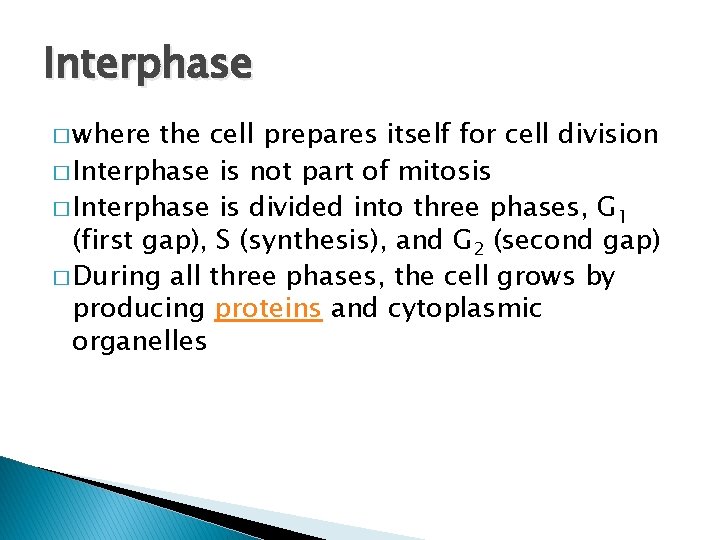 Interphase � where the cell prepares itself for cell division � Interphase is not