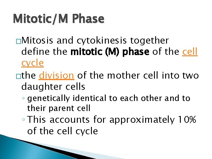 Mitotic/M Phase �Mitosis and cytokinesis together define the mitotic (M) phase of the cell