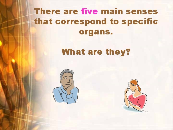 There are five main senses that correspond to specific organs. What are they? 