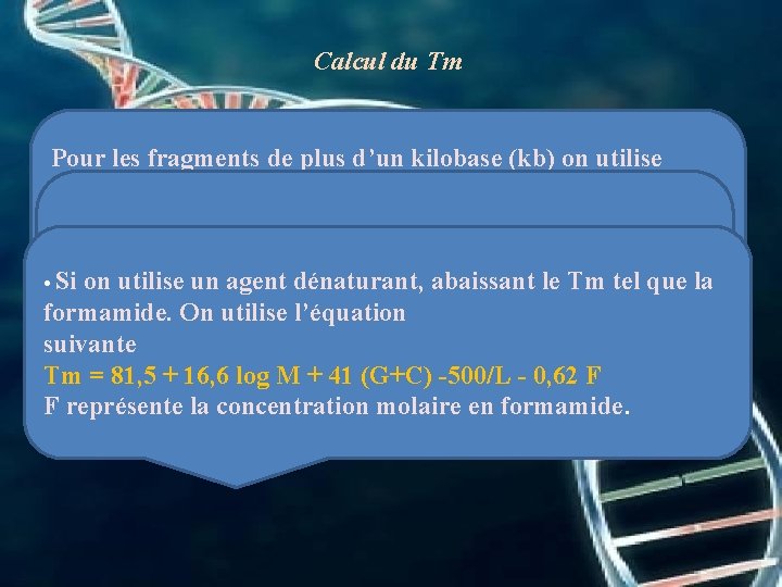 Calcul du Tm Pour les fragments de plus d’un kilobase (kb) on utilise souvent