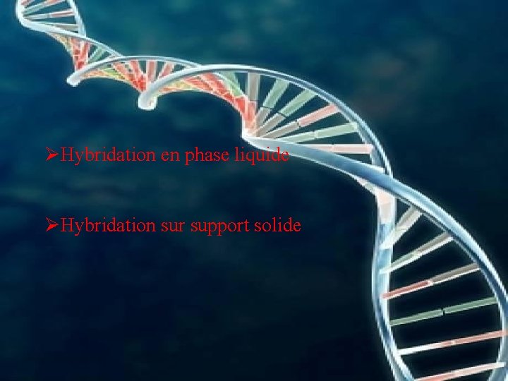 ØHybridation en phase liquide ØHybridation sur support solide 