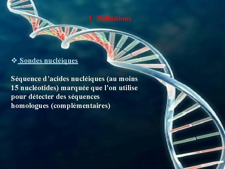 1 - Définitions v Sondes nucléiques Séquence d’acides nucléiques (au moins 15 nucléotides) marquée