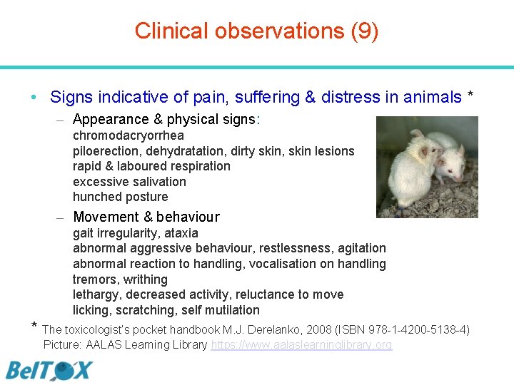 Clinical observations (9) • Signs indicative of pain, suffering & distress in animals *