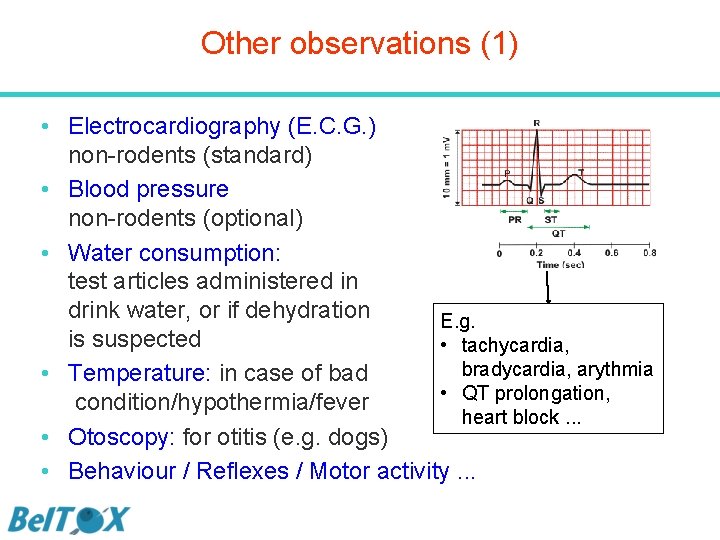 Other observations (1) • Electrocardiography (E. C. G. ) non-rodents (standard) • Blood pressure