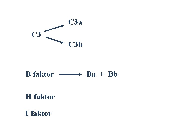 C 3 a C 3 b B faktor H faktor I faktor Ba +